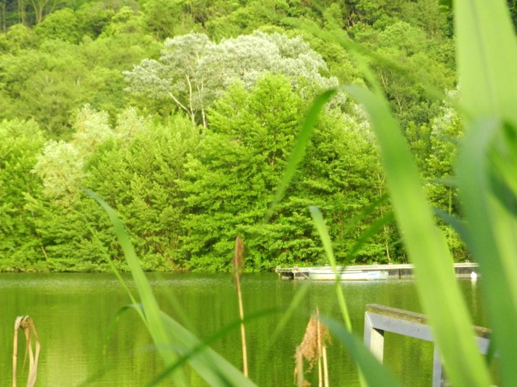 Gite Les Platanes Sainte-Helene-du-Lac Esterno foto